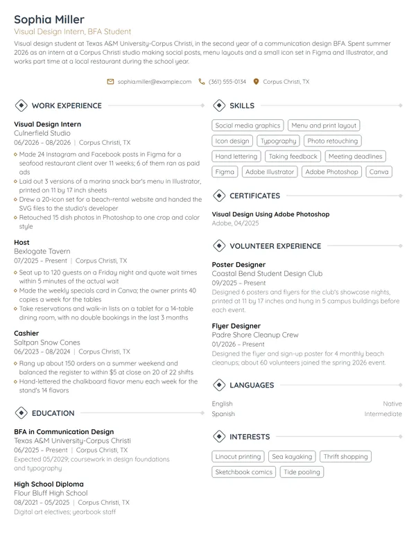 Visual Design Intern resume example