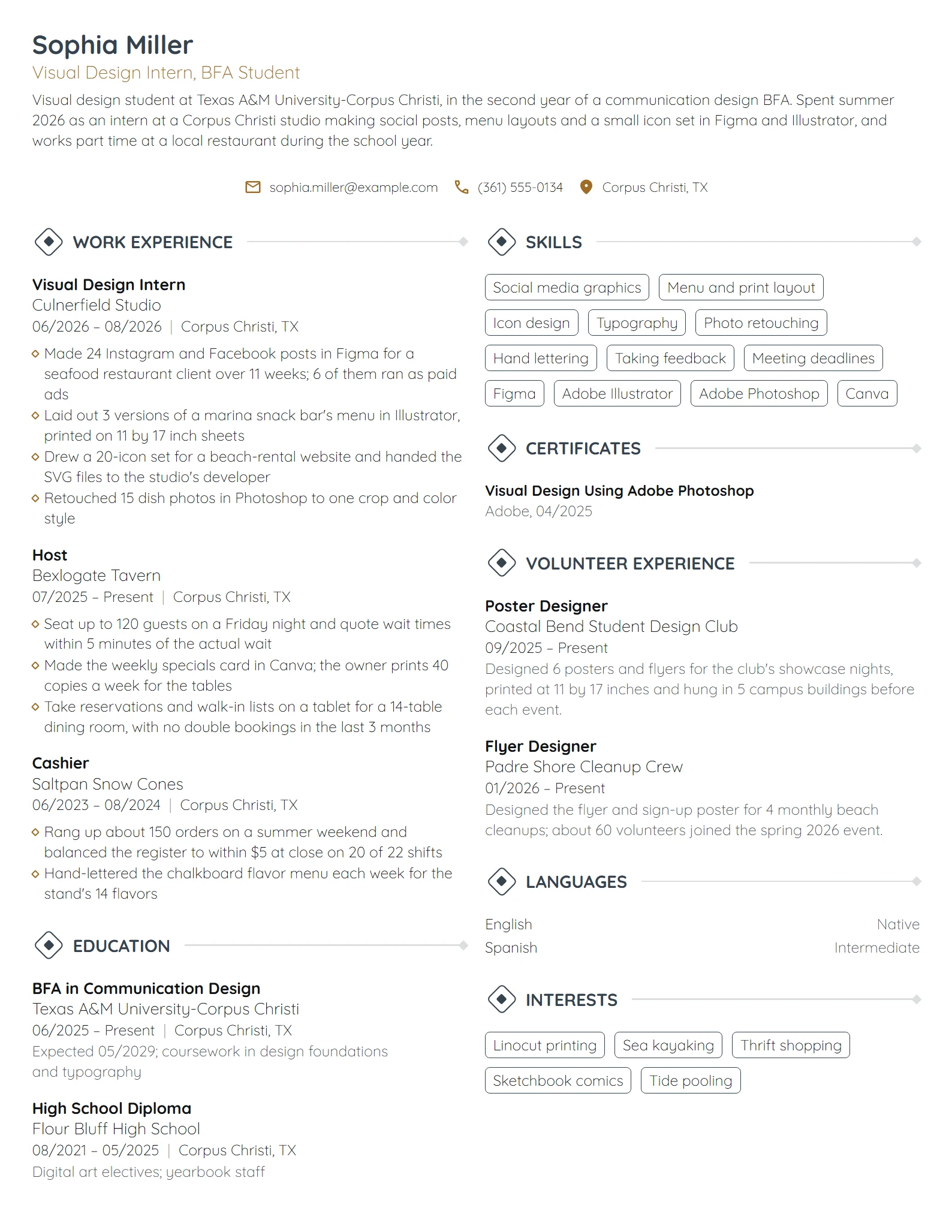 Visual Design Intern resume example