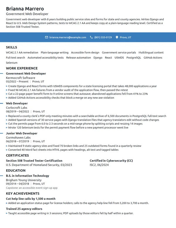 Government Web Developer resume example