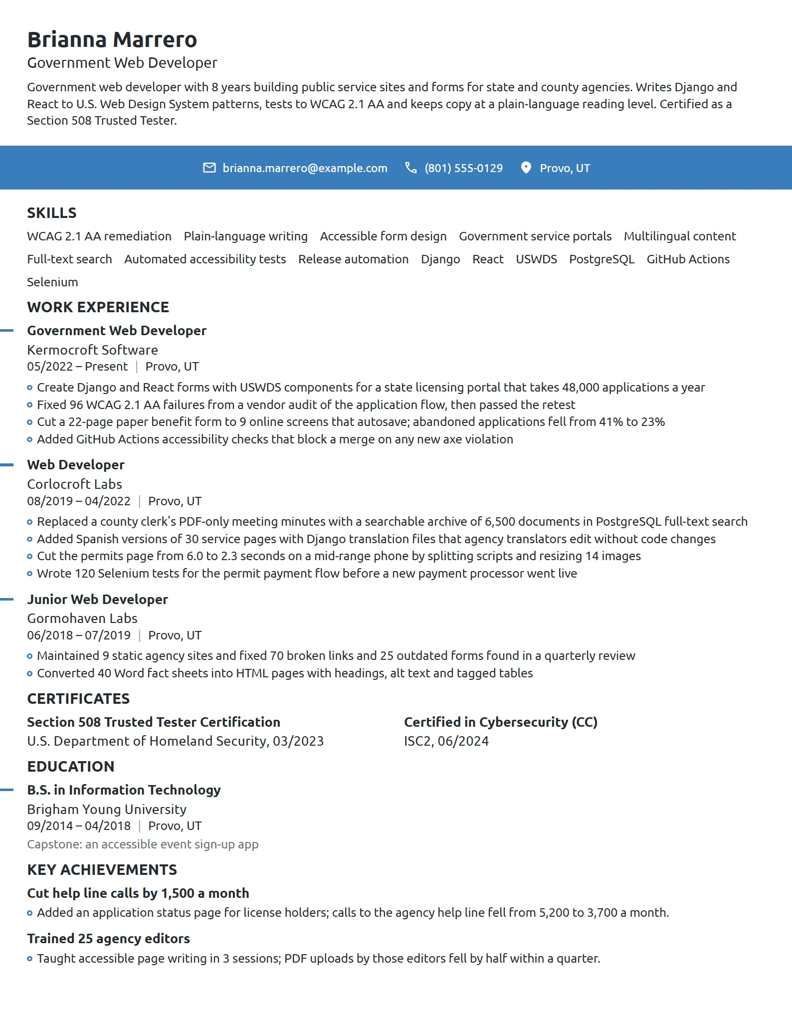 Government Web Developer resume example