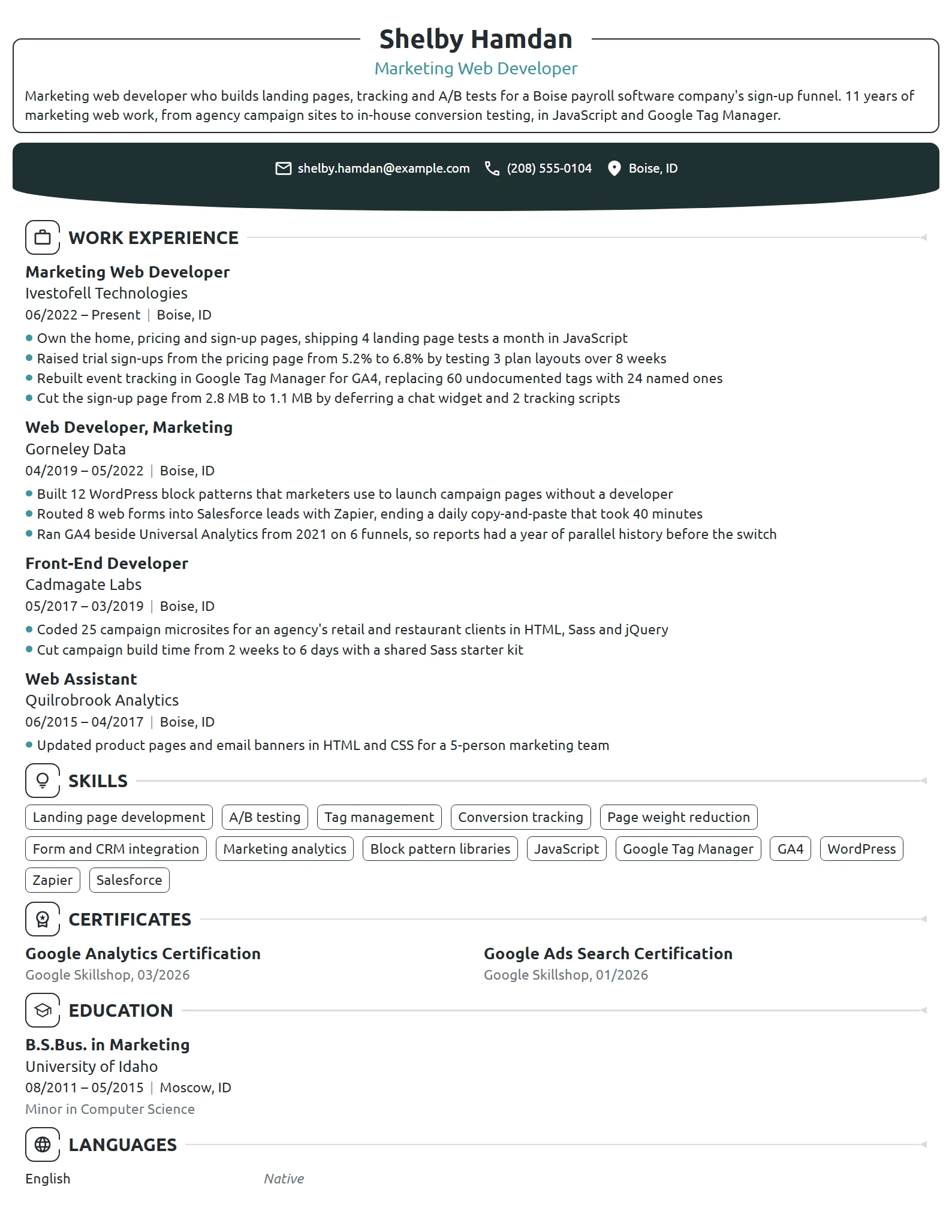 Marketing Web Developer resume example