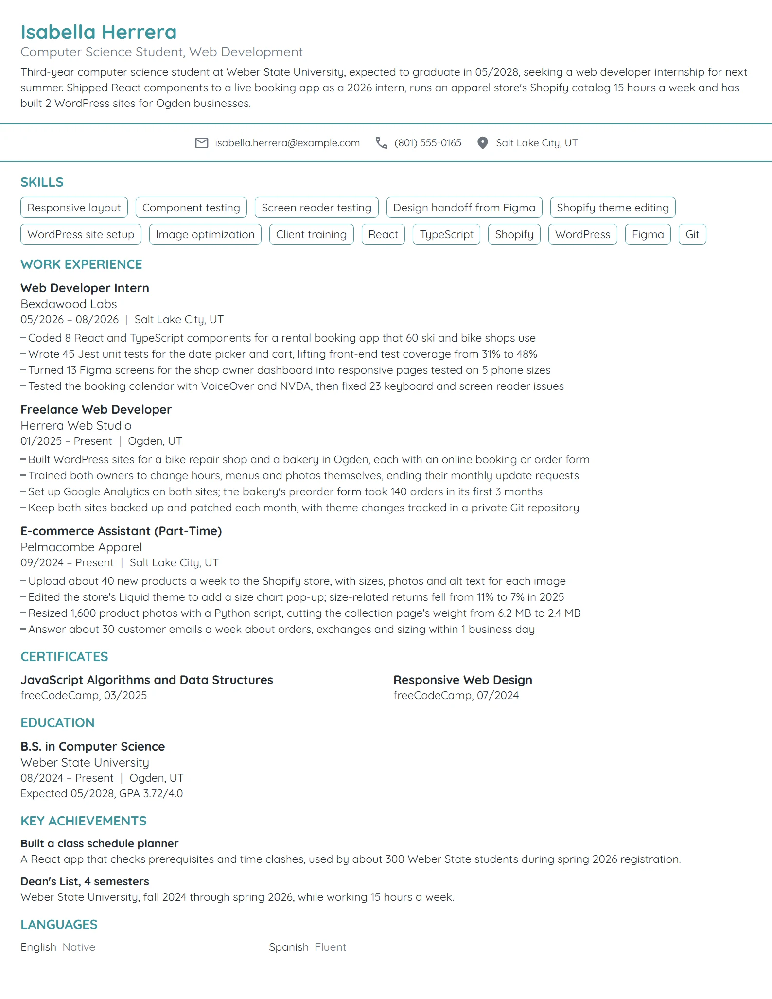 Web Developer Intern resume example