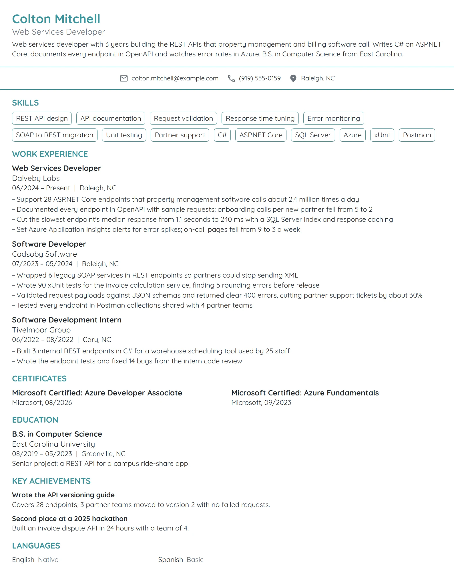 Web Services Developer resume example