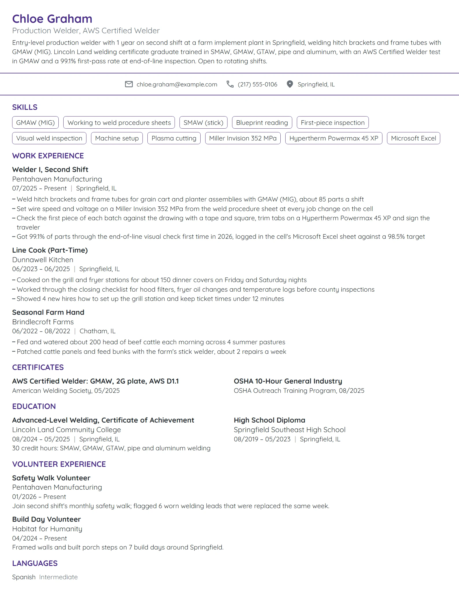 Entry-Level Welder resume example