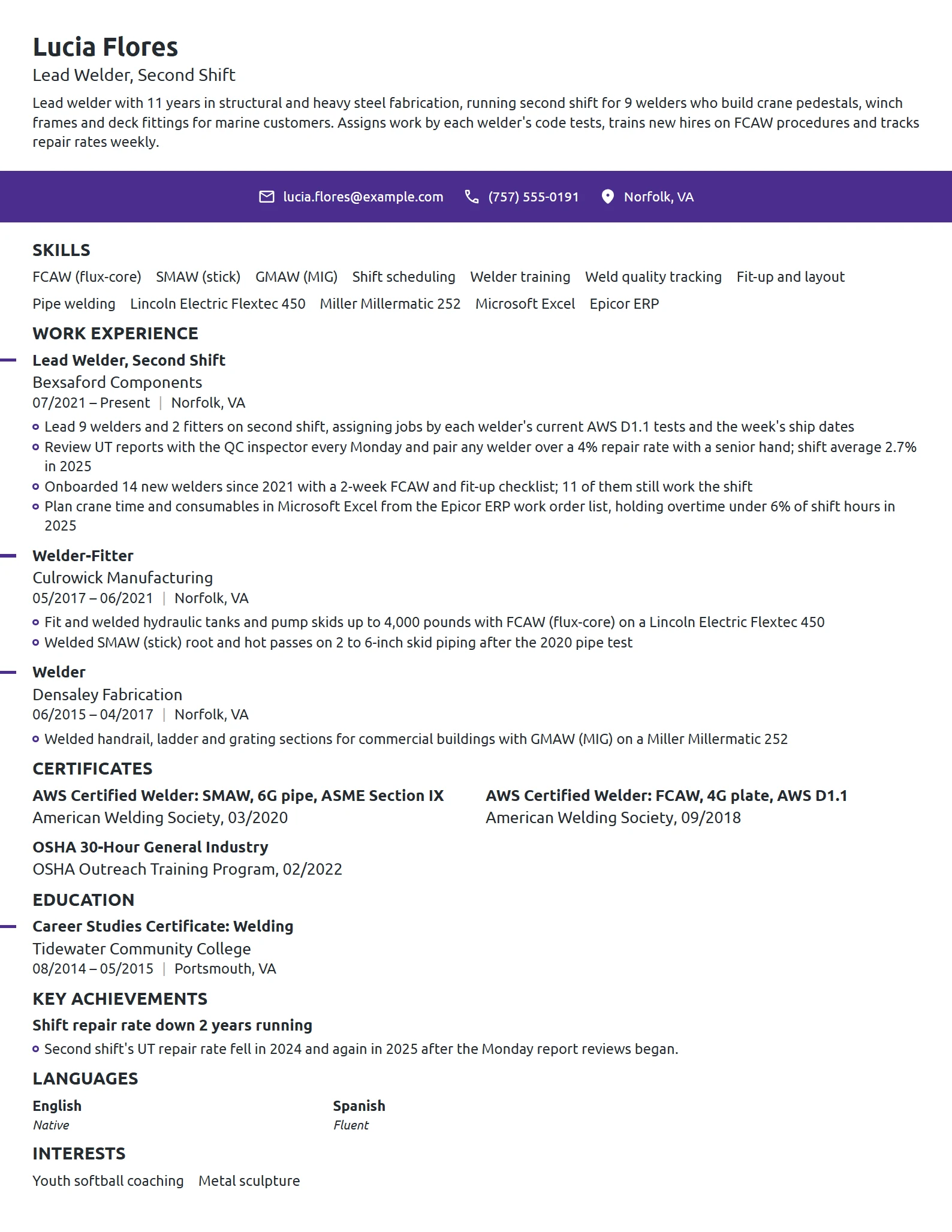 Lead Welder resume example