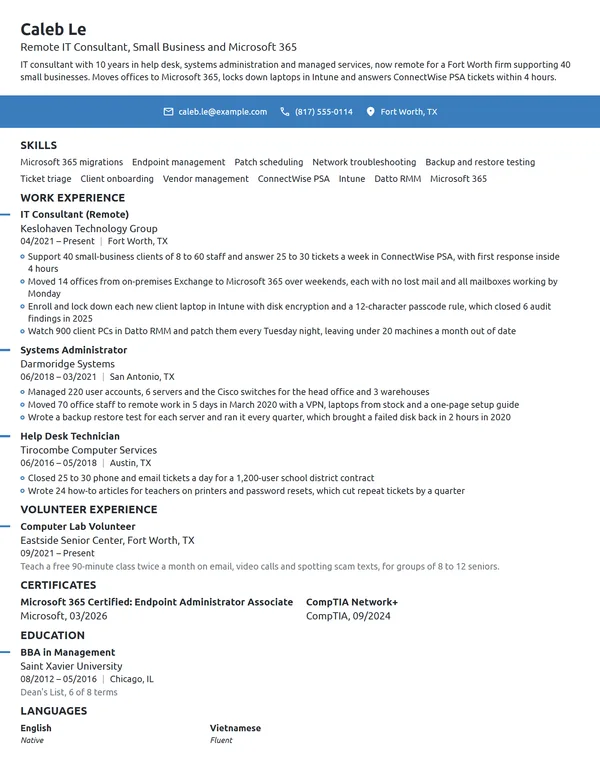Work-From-Home IT Consultant resume example