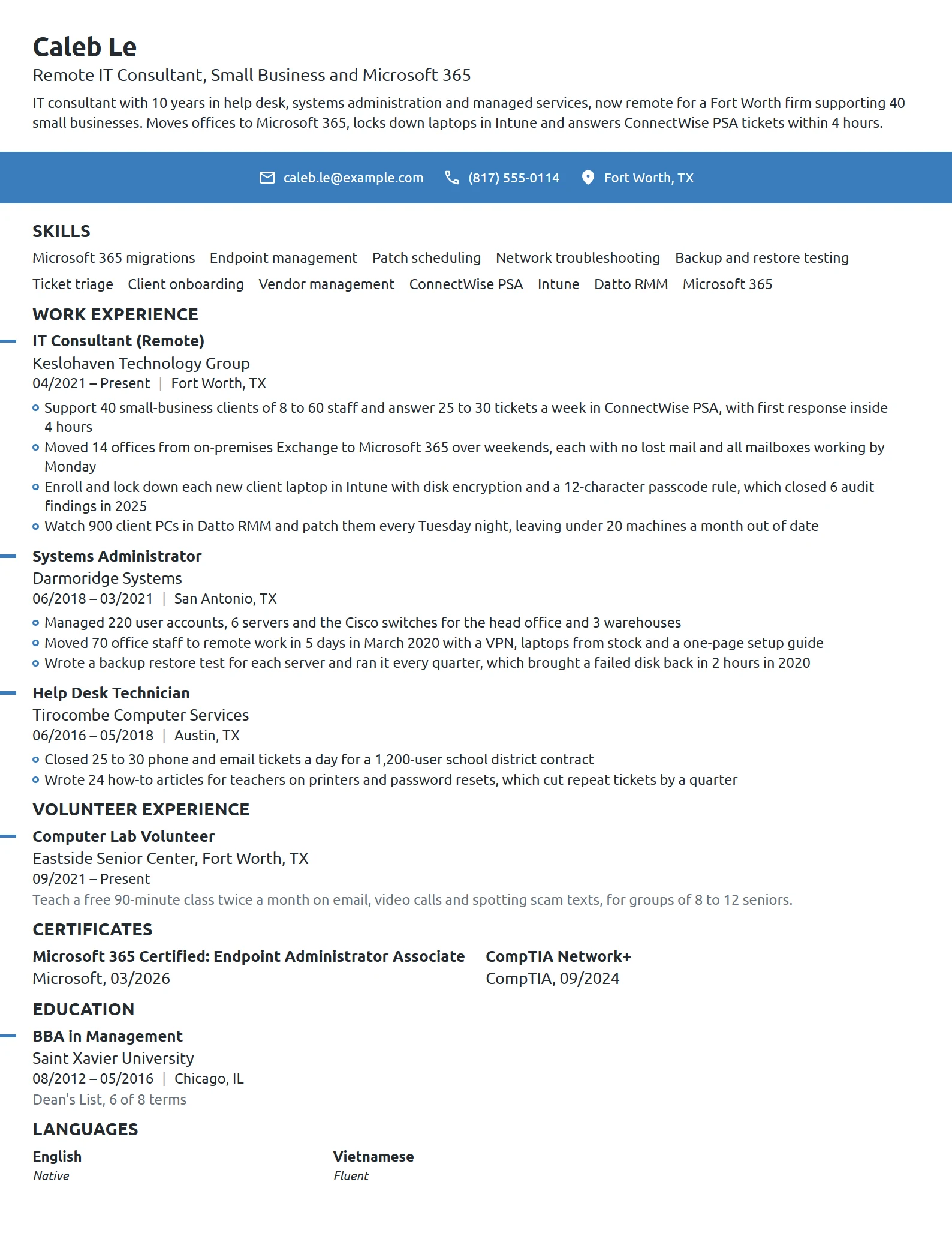 Work-From-Home IT Consultant resume example