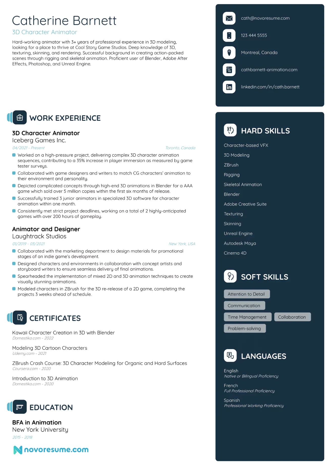 Animator resume example