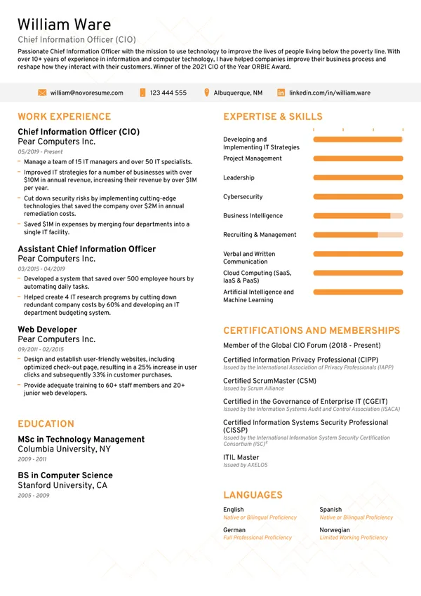 Executive ATS resume example