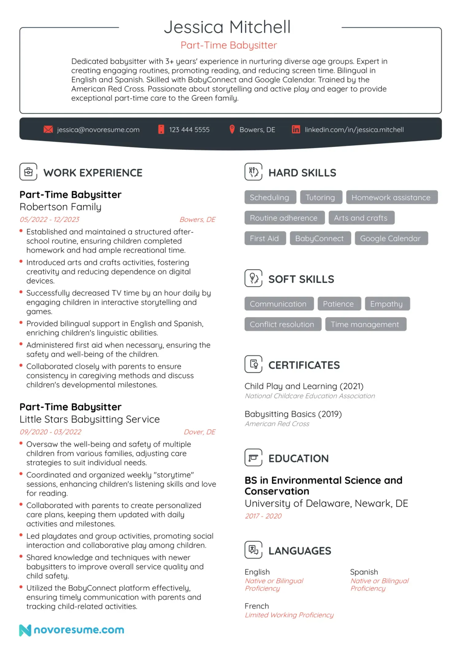 Babysitter resume example
