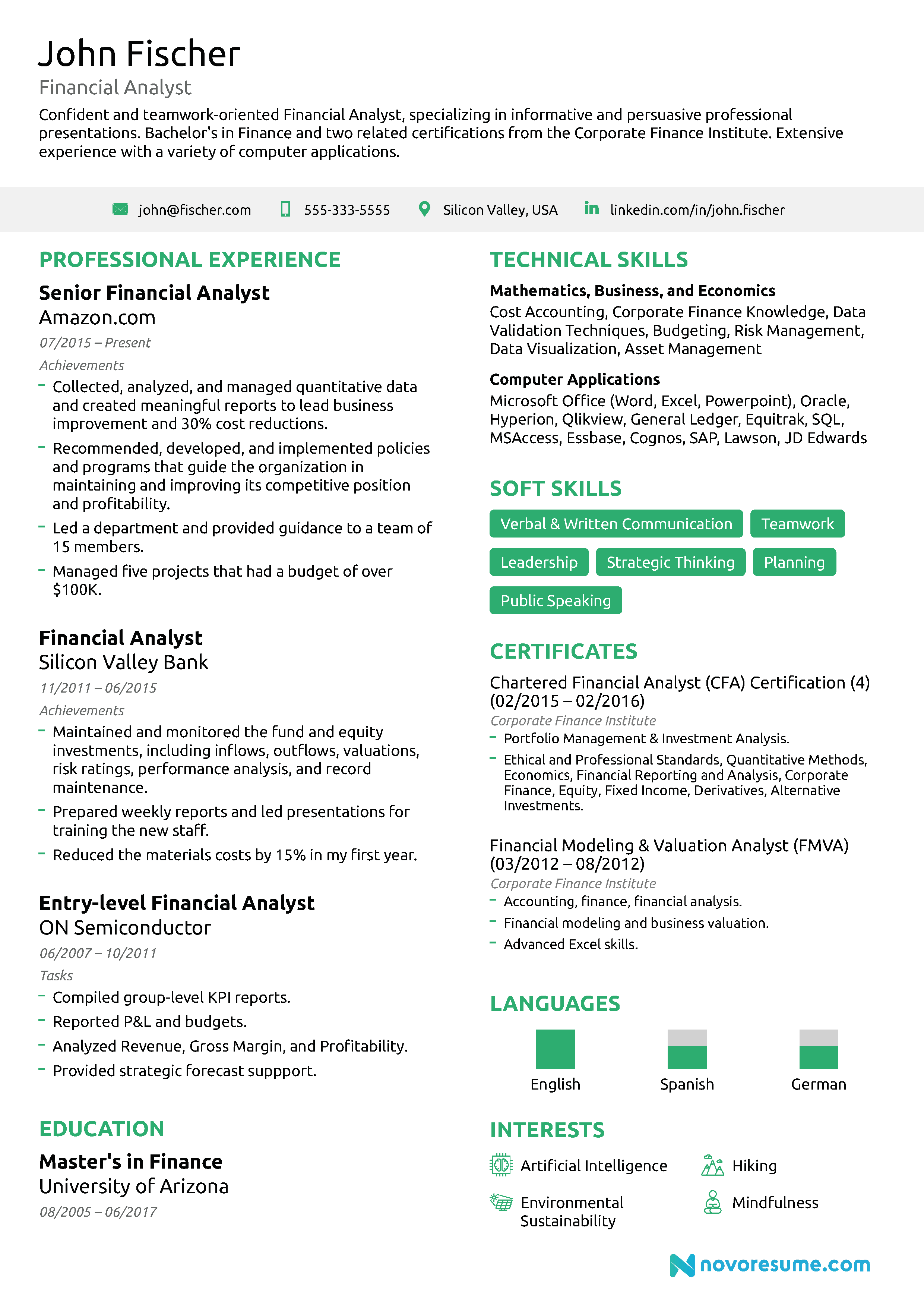Financial Analyst resume example