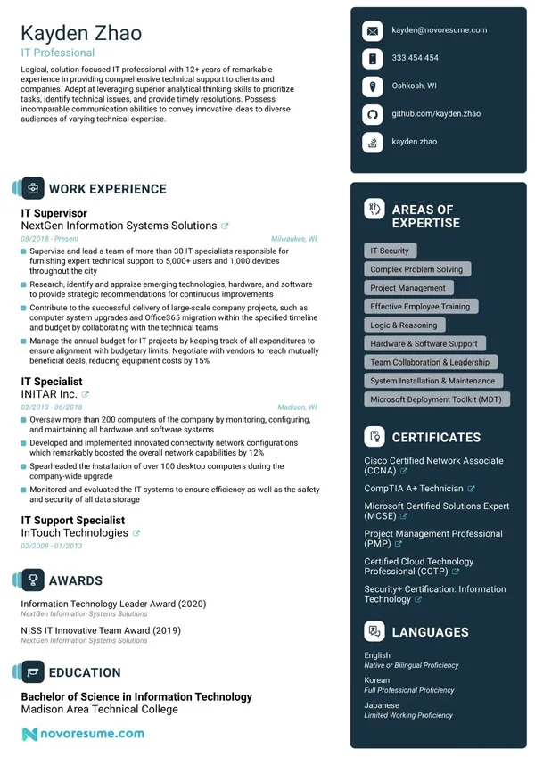 IT resume example