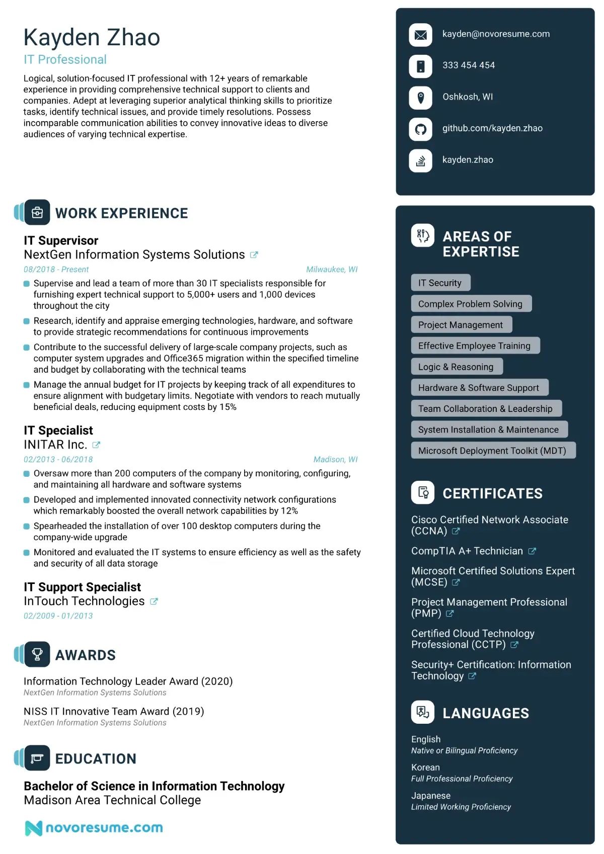 IT resume example