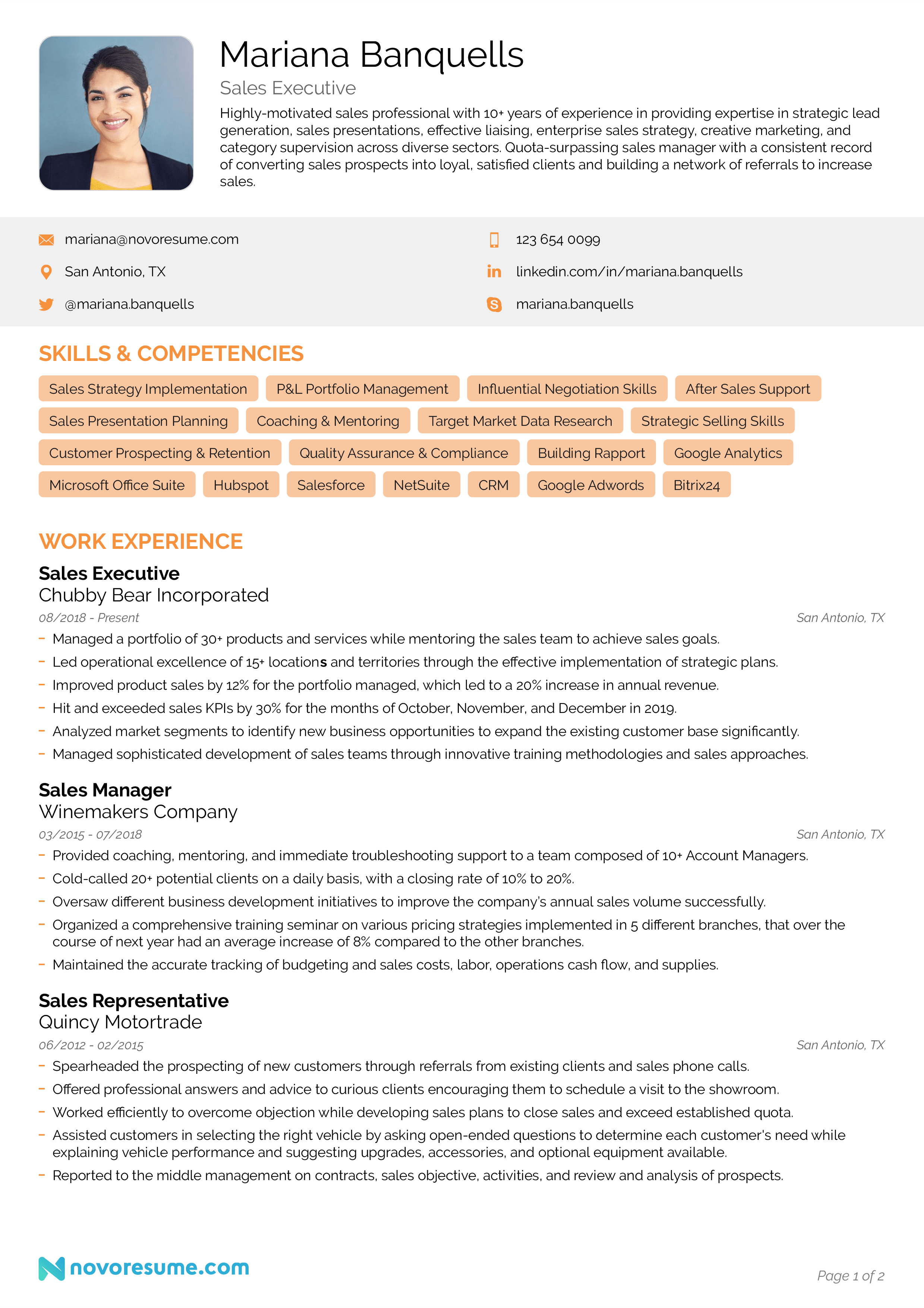 Sales Resume with Photo resume example