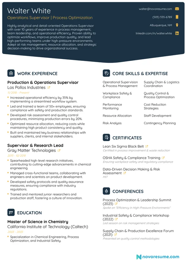 Supervisor resume example