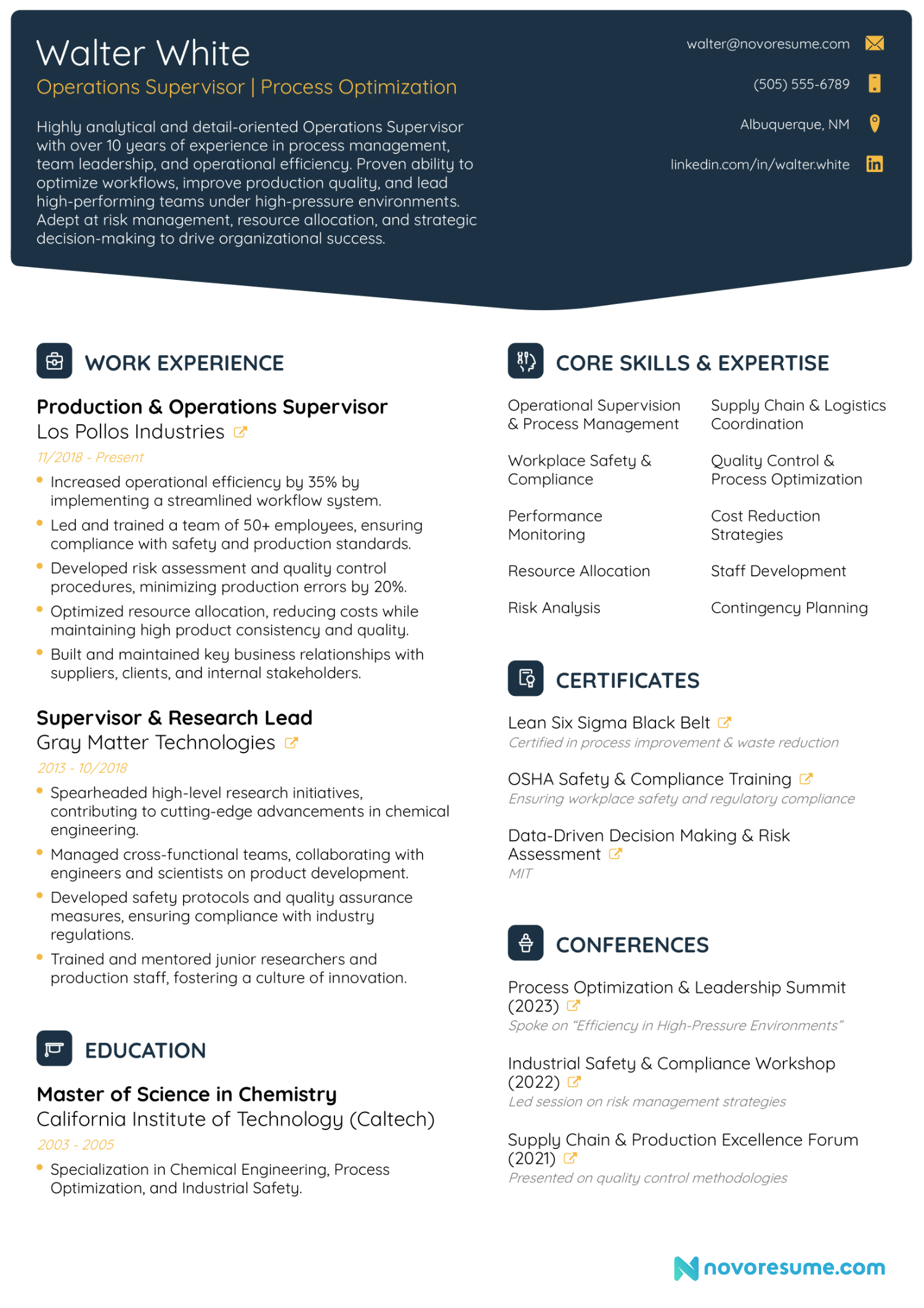 Supervisor resume example
