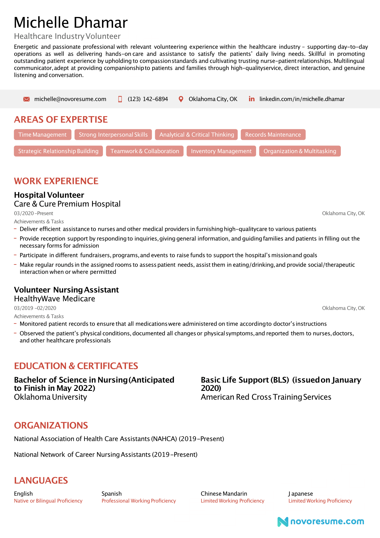 Volunteer resume example