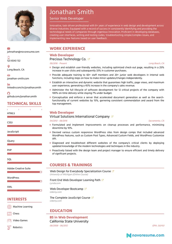 Web Developer Resume with Photo resume example