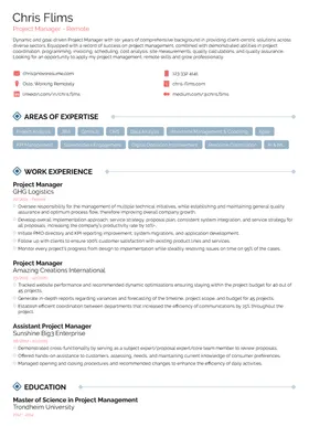 Minimalist resume template (premium)