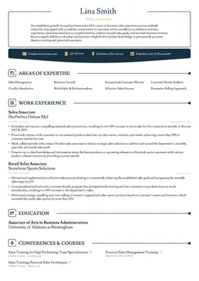 Precision resume template (premium)